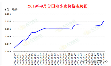 小麦最新价格与行情走势深度解析