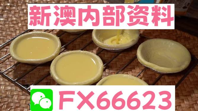 新澳精准资料免费提供网,动态词语解释落实_顶级版91.315