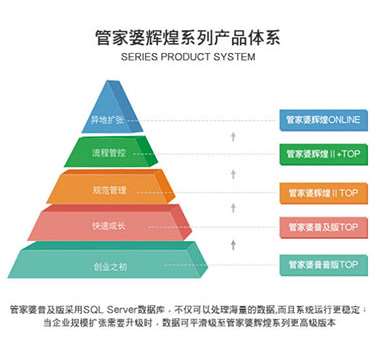 澳门管家婆,整体规划执行讲解_Pixel154.478