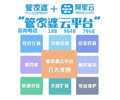 2024新奥门管家婆资料查询,安全性方案设计_顶级款85.982