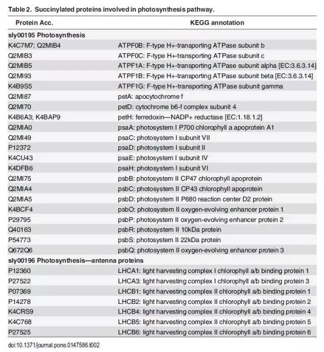 新澳天天开奖资料大全最新54期129期,系统化评估说明_Tablet88.847