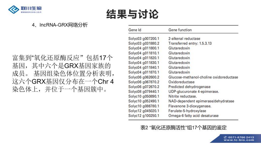 2024新澳资料免费精准17码,创新落实方案剖析_RemixOS13.790