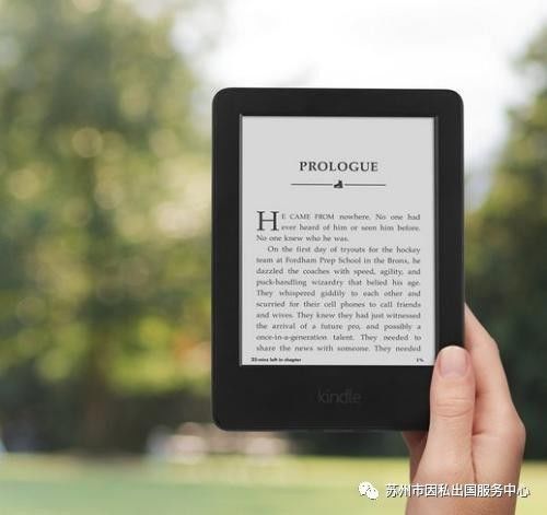 2024新澳最准最快资料,深层数据计划实施_Kindle98.883