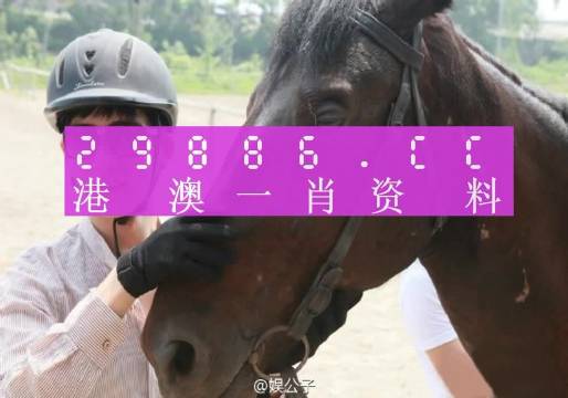 澳门一肖一码一必中一肖同舟前进,定性评估说明_C版83.242