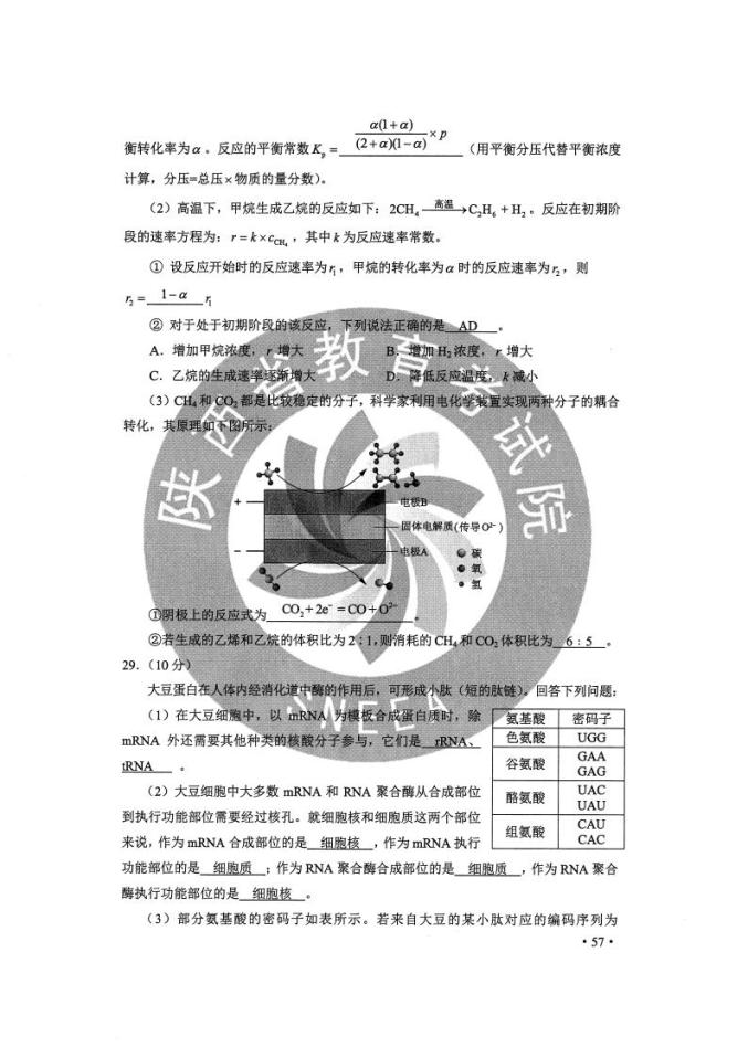 2024年12月7日 第16页