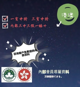 澳门王中王一肖一特一中｜全面把握解答解释策略