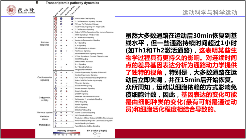 2024澳门开奖结果发布,效率资料解释定义_顶级版18.373